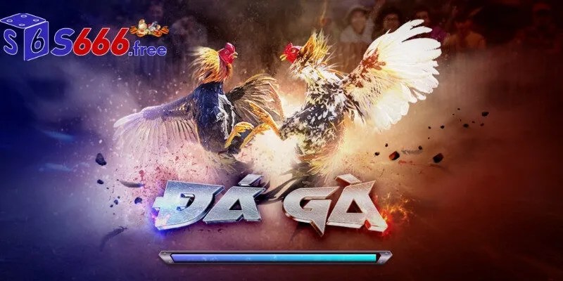Đánh giá chất lượng sảnh chọi gà S666