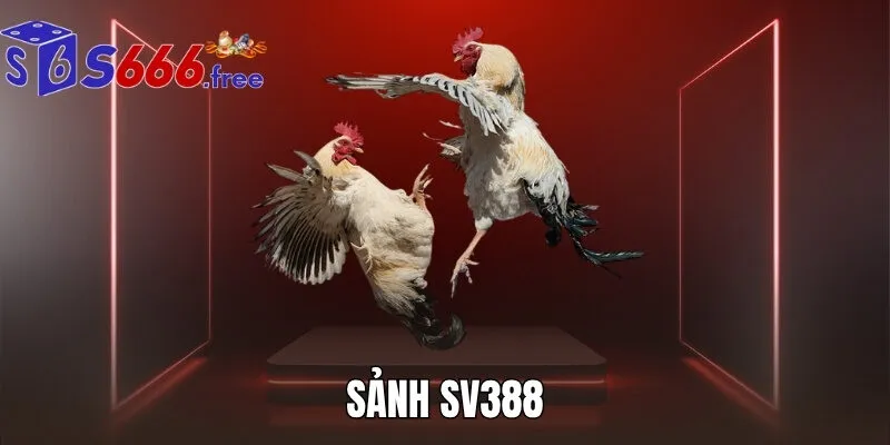 SẢNH SV388 - ĐÁ GÀ ĐẲNG CẤP TOP ĐẦU CHÂU Á NGAY TẠI S666