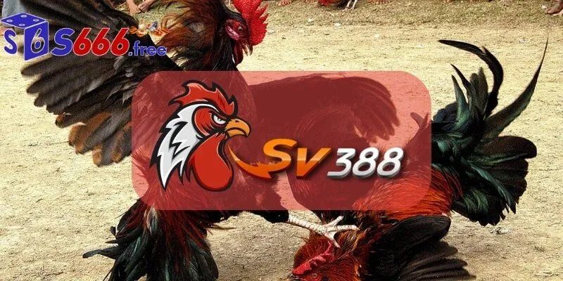 Tổng quan sảnh Sv3888